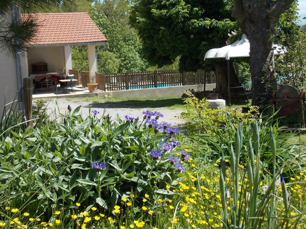 A La Mare Du Vieux Chene Bed and Breakfast Bellegarde-Poussieu Eksteriør billede